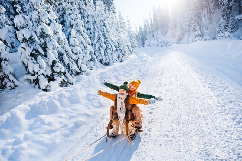 Children sledding in alps