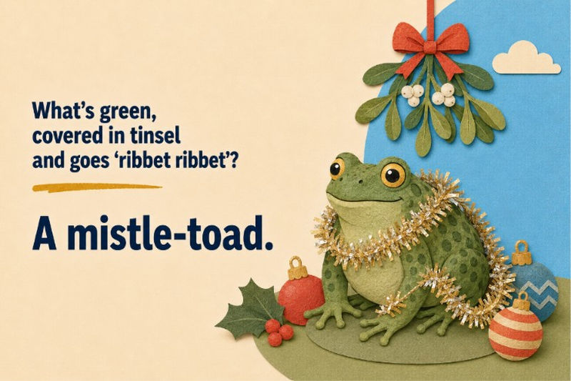 Dad Jokes Christmas Toad