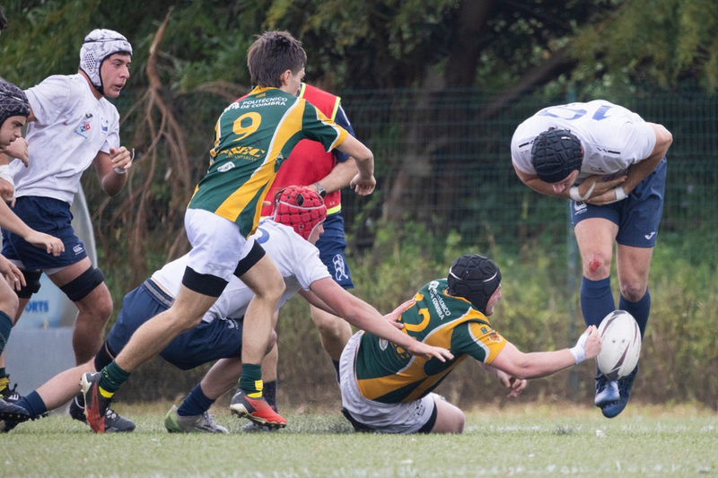 Rugby Injuries